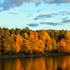 Herbst in Litauen