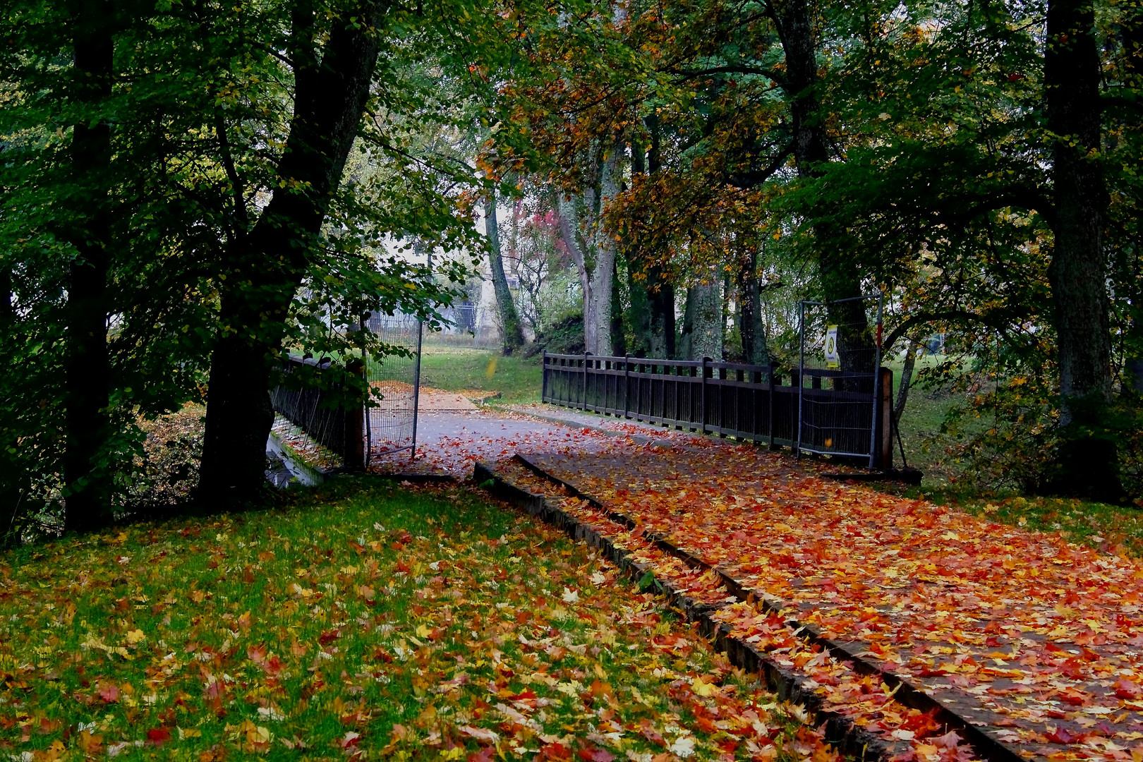 Herbst in Litauen