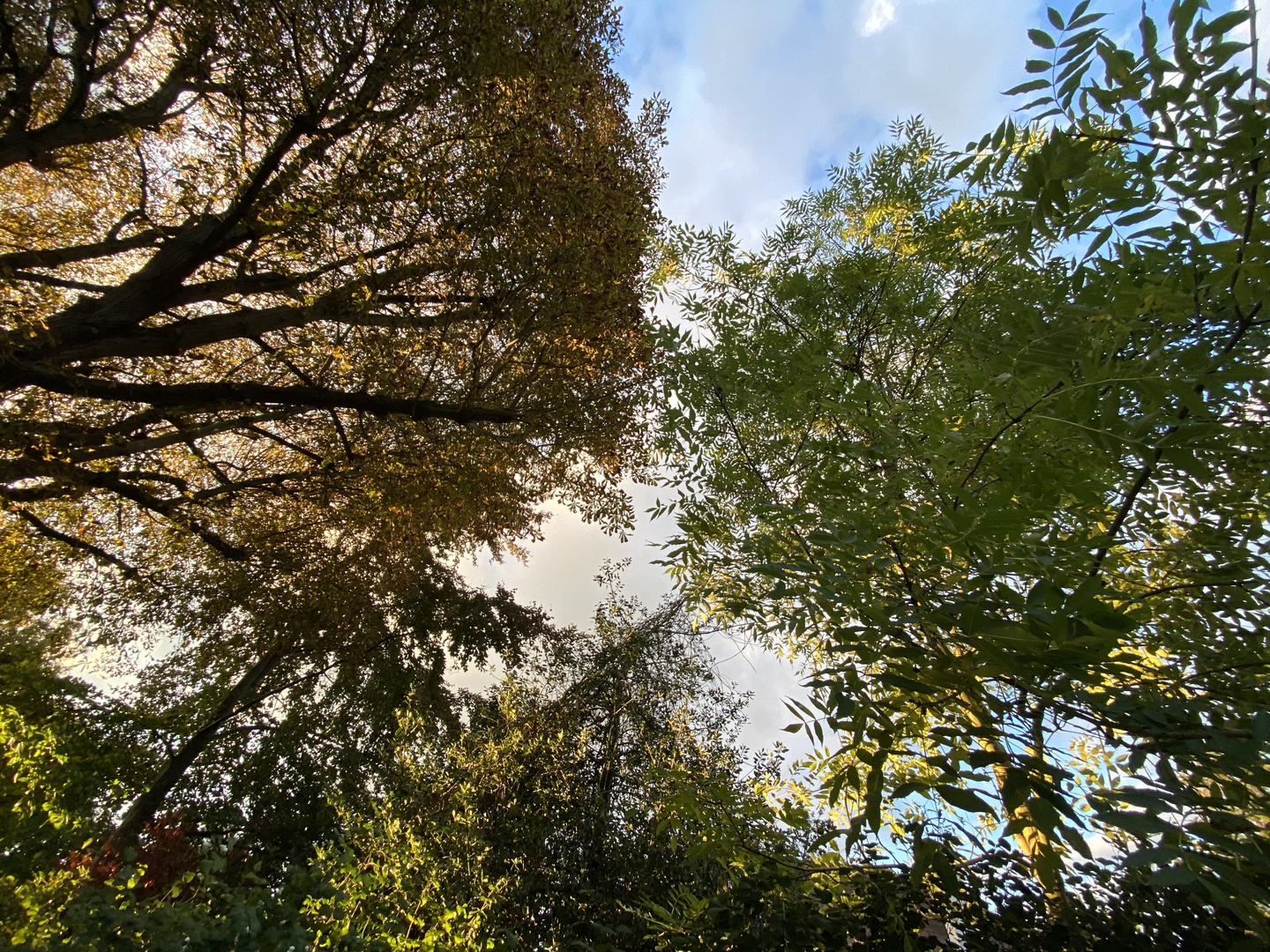 Herbst in London