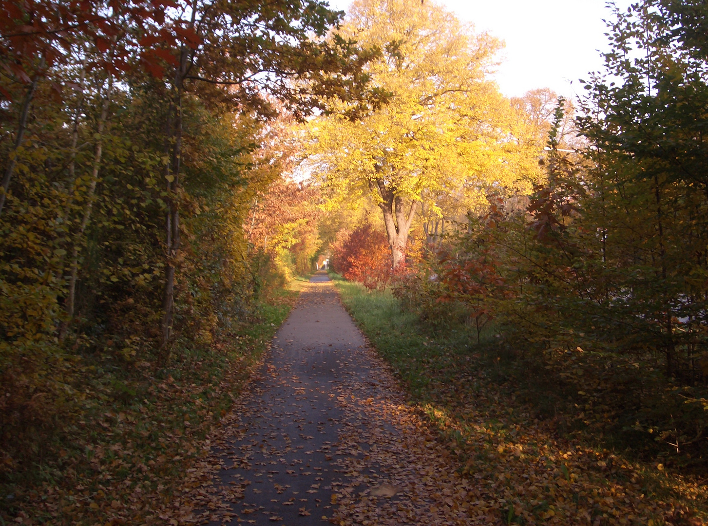 Herbst in Lübeck