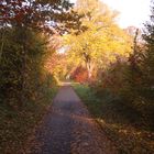 Herbst in Lübeck