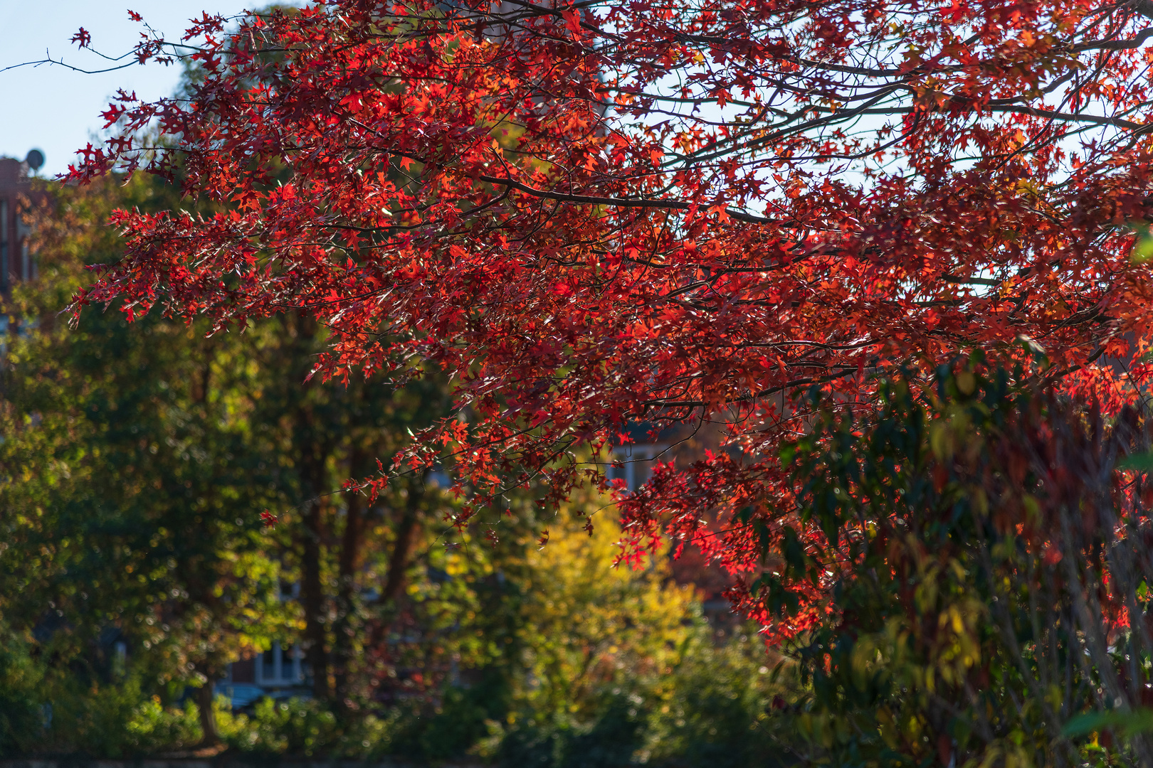 Herbst in Lüneburg