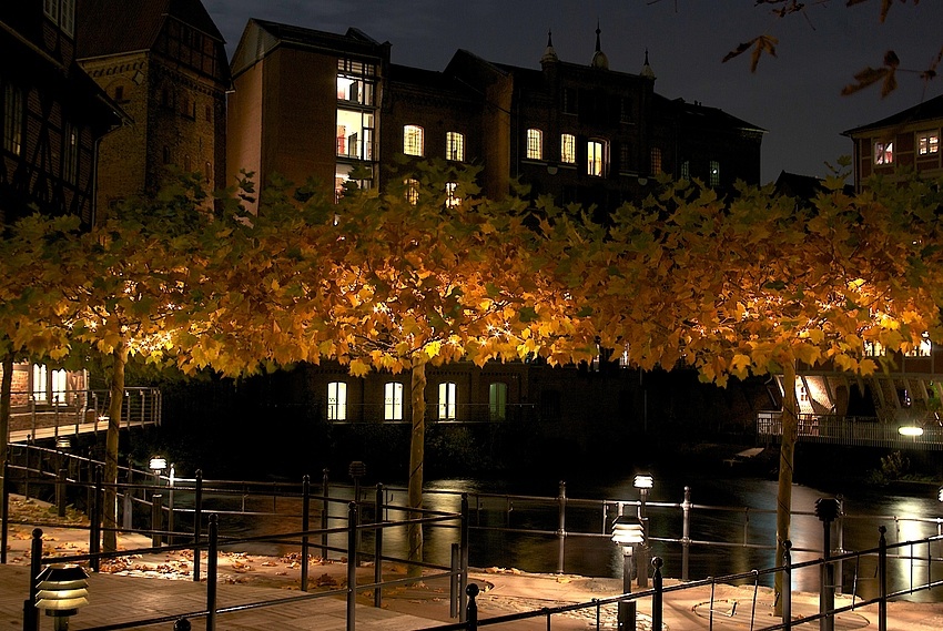 Herbst in Lüneburg