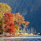 herbst in Lugano 