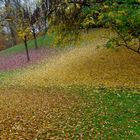 Herbst in Luisenpark, Mannheim