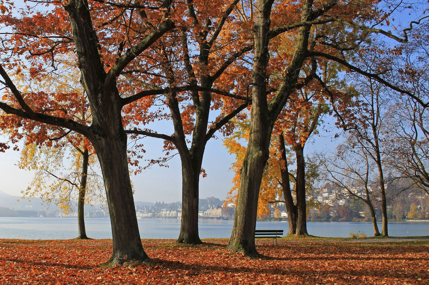 Herbst in Luzern