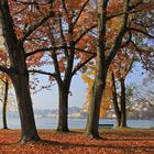 Herbst in Luzern