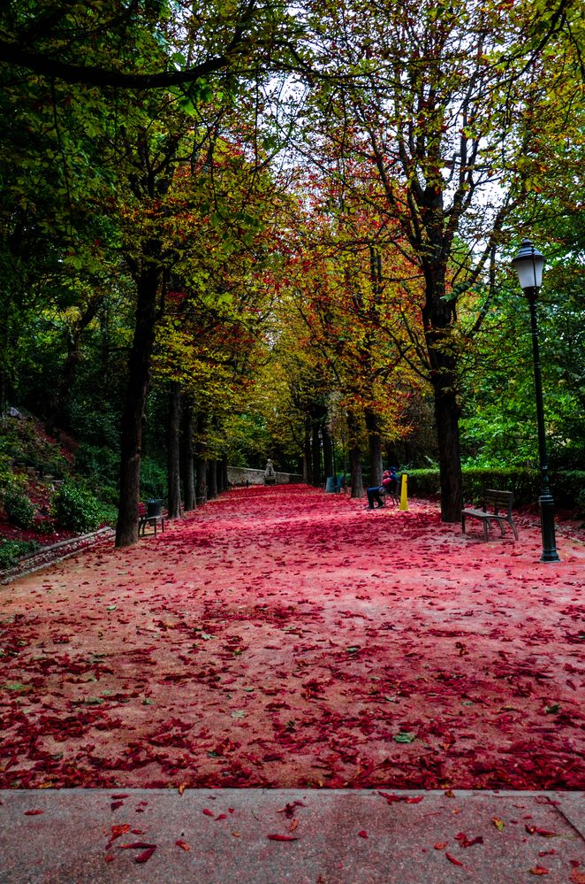 Herbst in Lyon