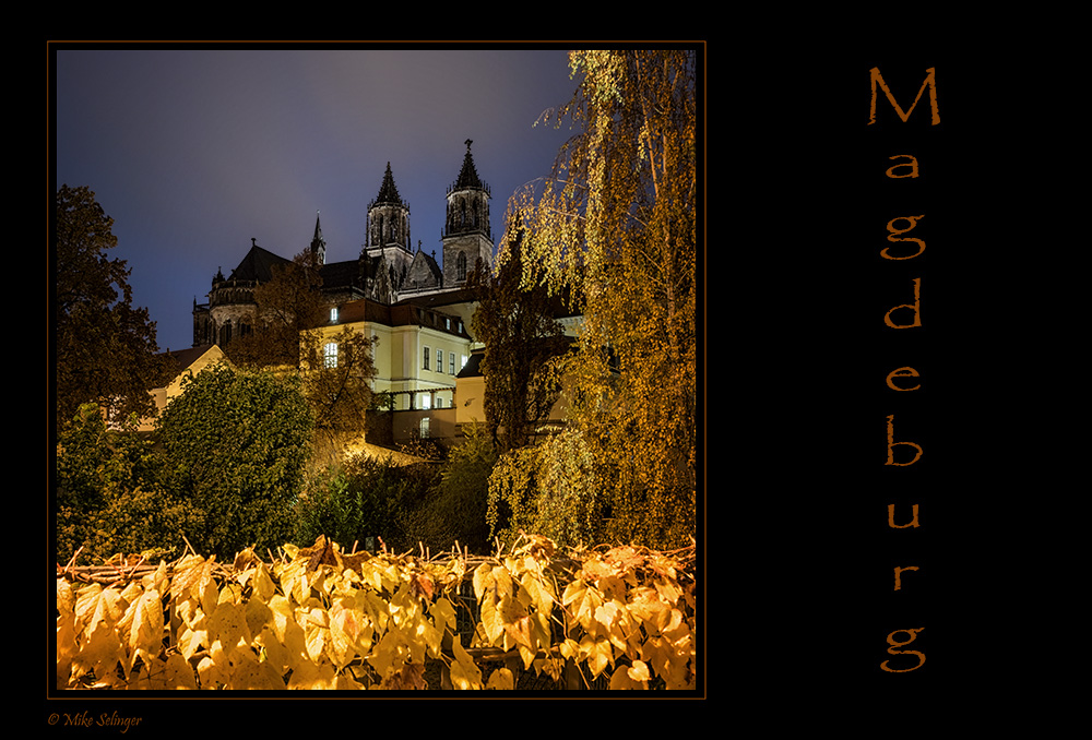 Herbst in Magdeburg