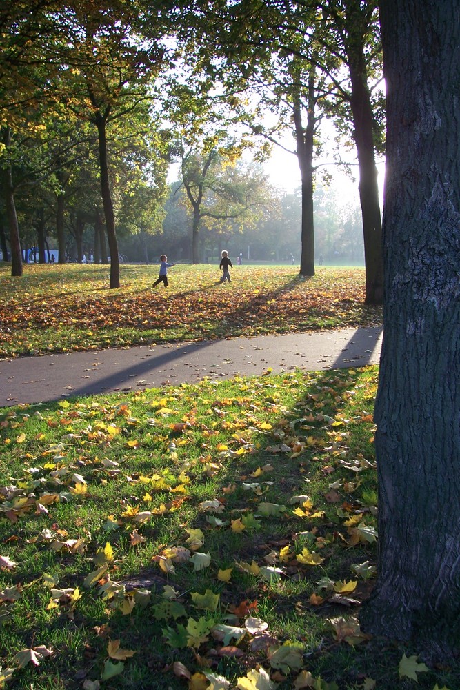 Herbst in Mainz