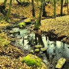 Herbst in Mainz-Weiler