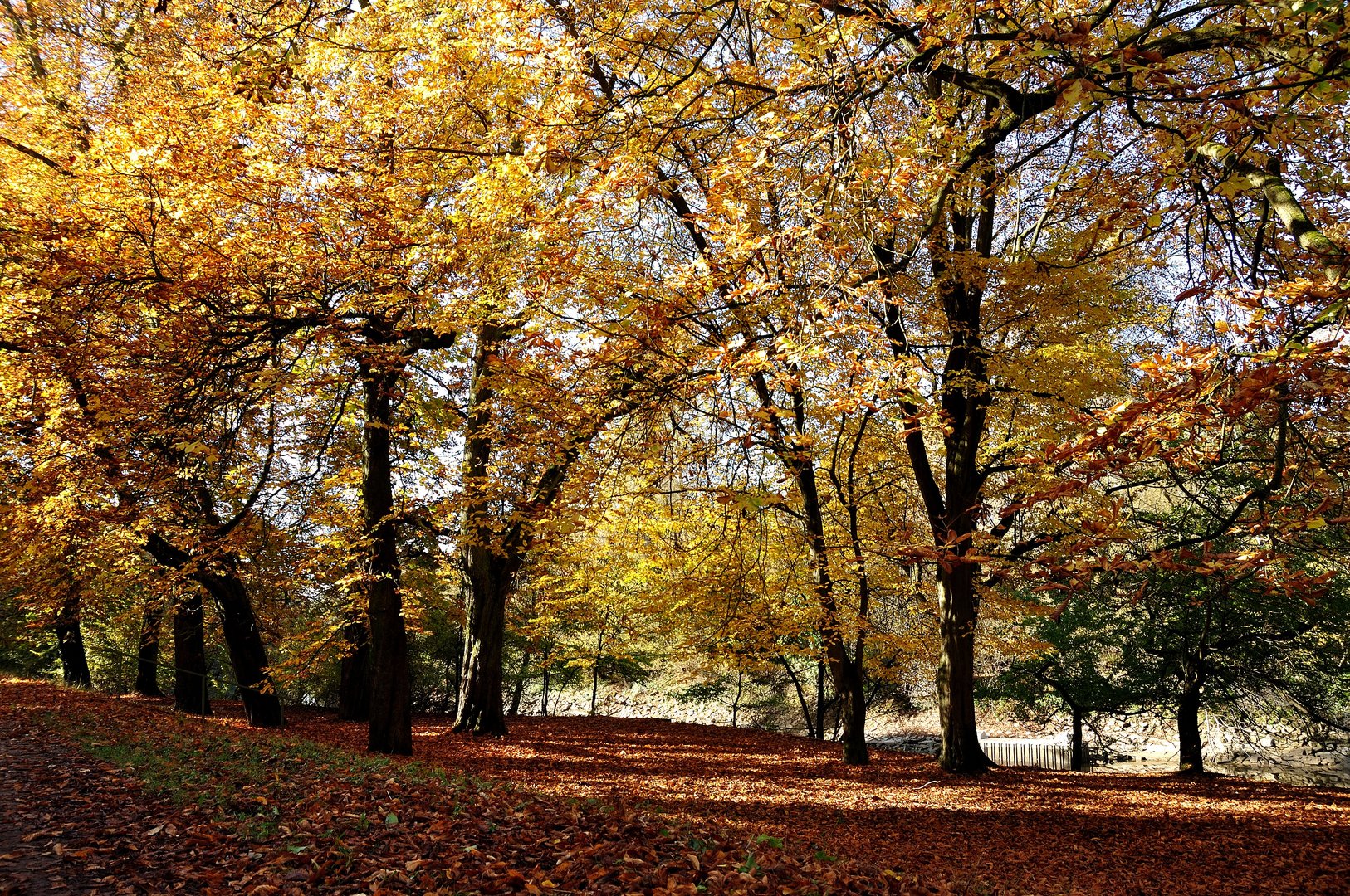 Herbst in Mannheim 1