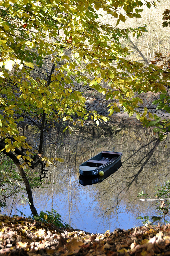 Herbst in Mannheim 2