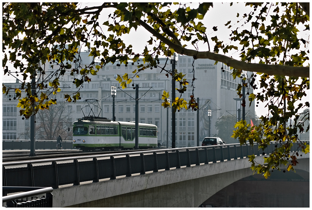 Herbst in Mannheim...