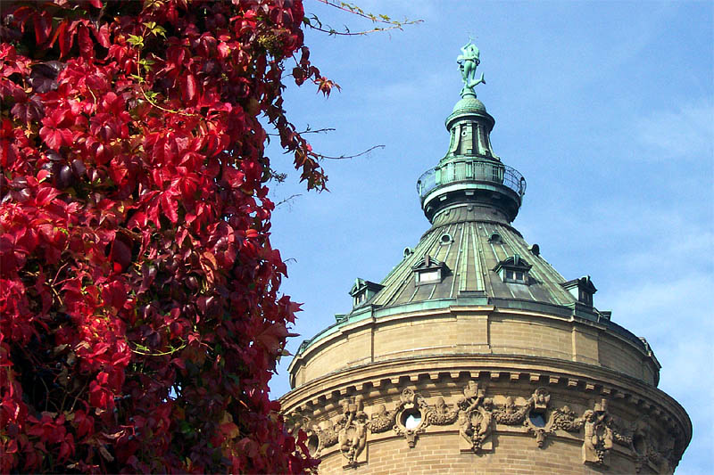 Herbst in Mannheim von Th. Schmid