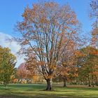 Herbst in Margraten