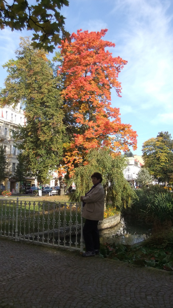 Herbst in Marienbad