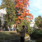 Herbst in Marienbad