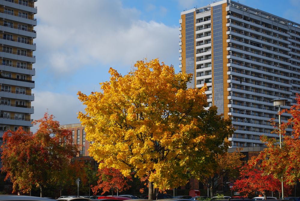 Herbst in Marzahn