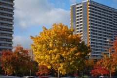 Herbst in Marzahn