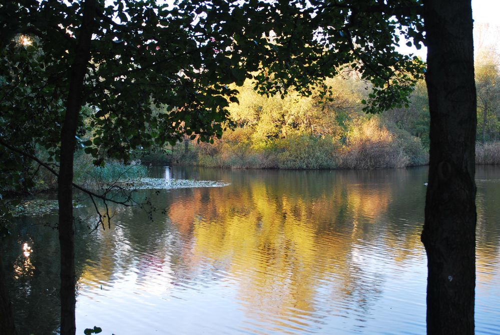 Herbst in Marzahn