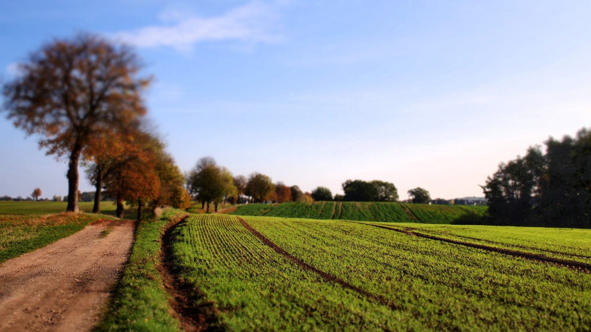 Herbst in Meck-Pom