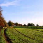 Herbst in Meck-Pom