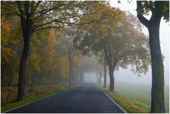 Herbst in Meck-Pomm