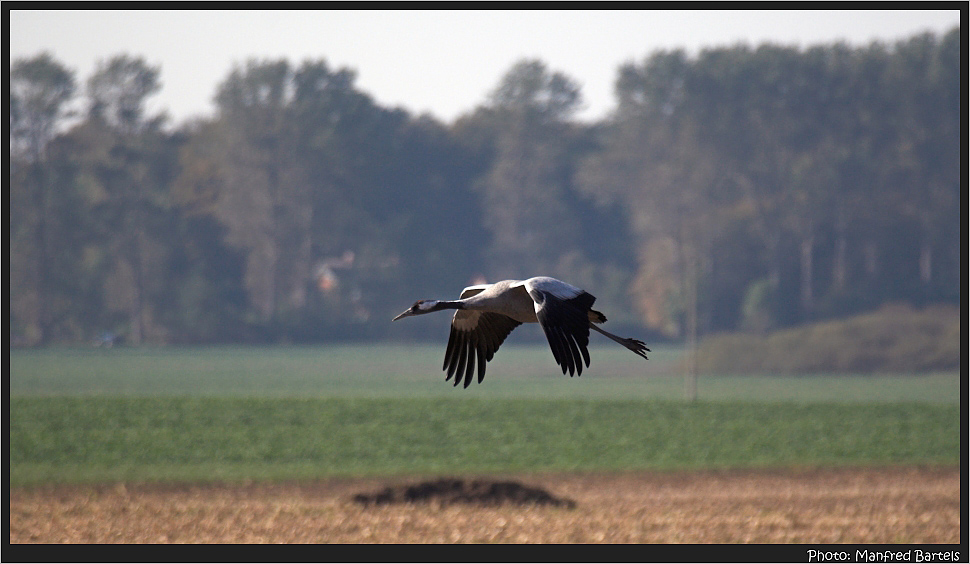 Herbst in Meck.-Pomm....