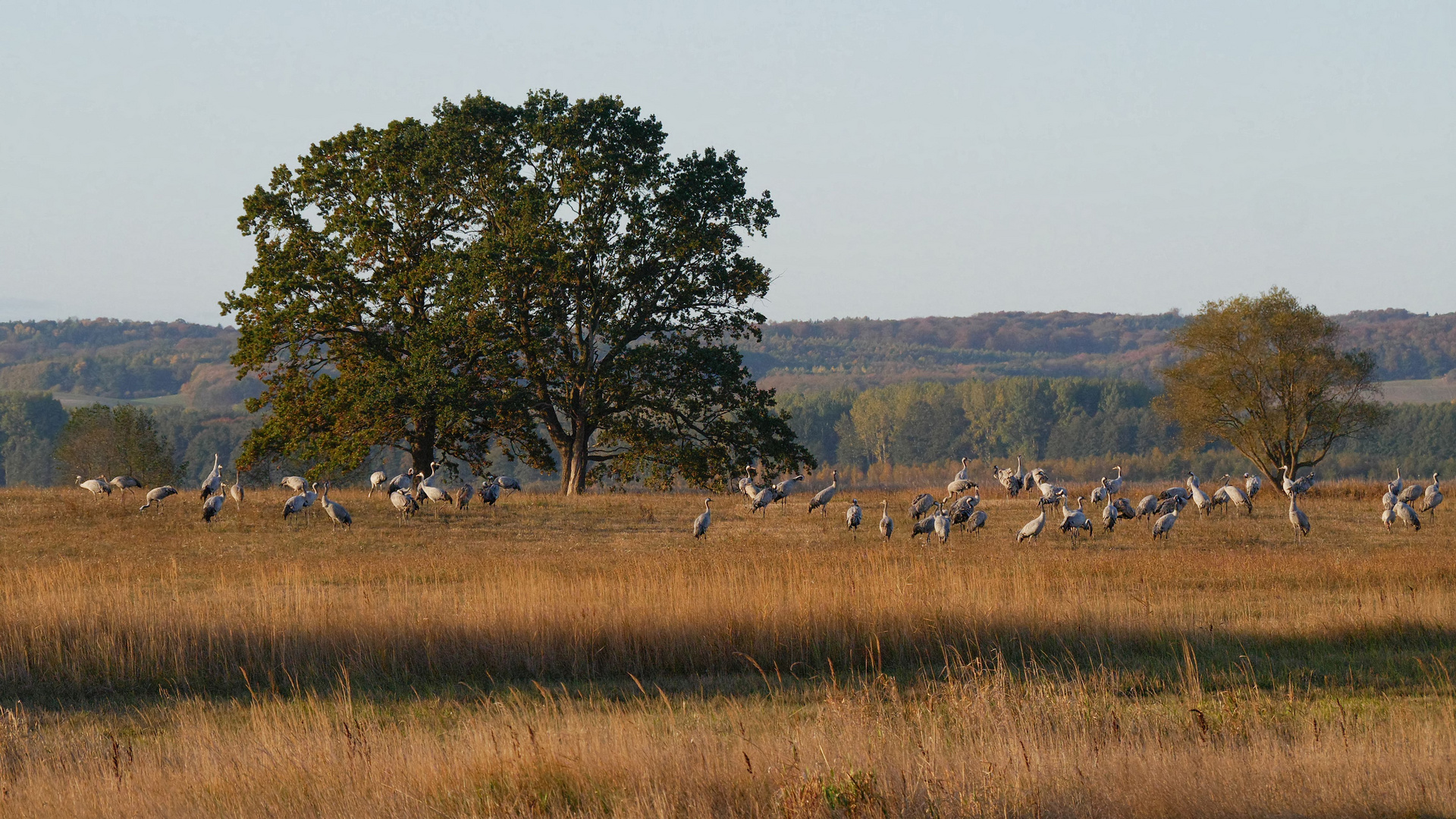 Herbst in Mecklenburg