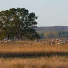 Herbst in Mecklenburg