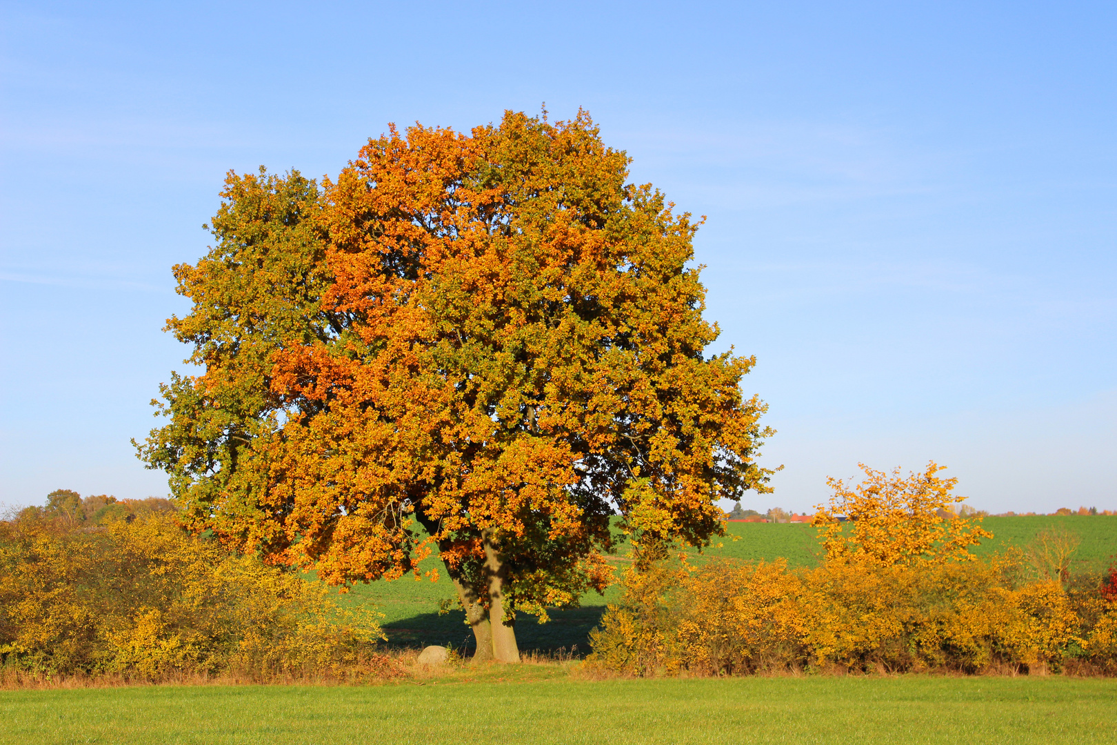 Herbst in Mecklenburg