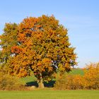 Herbst in Mecklenburg