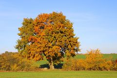 Herbst in Mecklenburg
