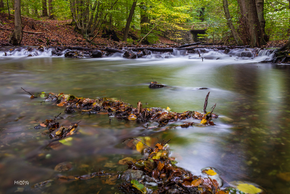 Herbst in Mecklenburg II