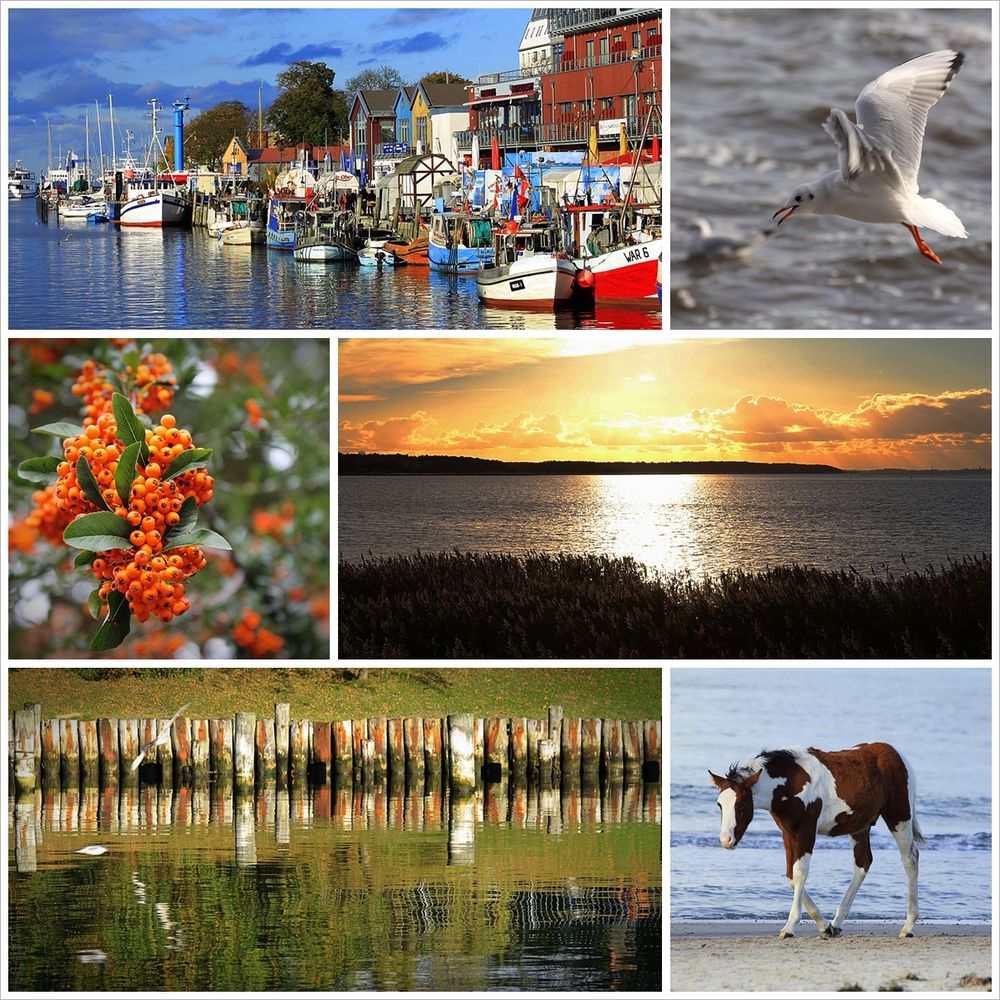 Herbst in Mecklenburg Vorpommern....