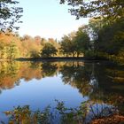 Herbst in meinem Fotorevier