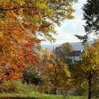 Herbst in meinem Garten