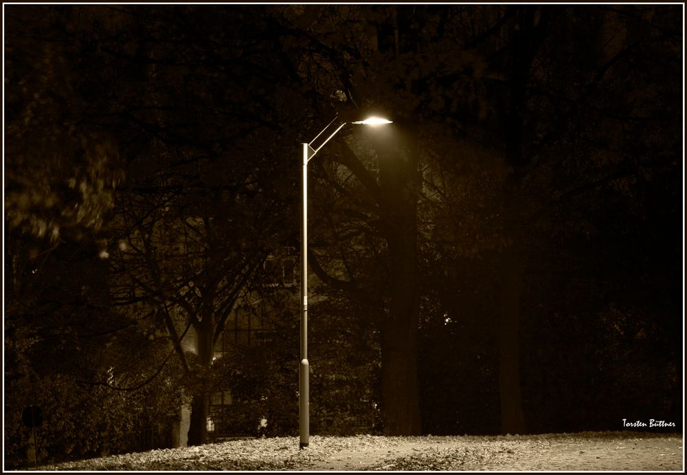 Herbst in meinem Viertel