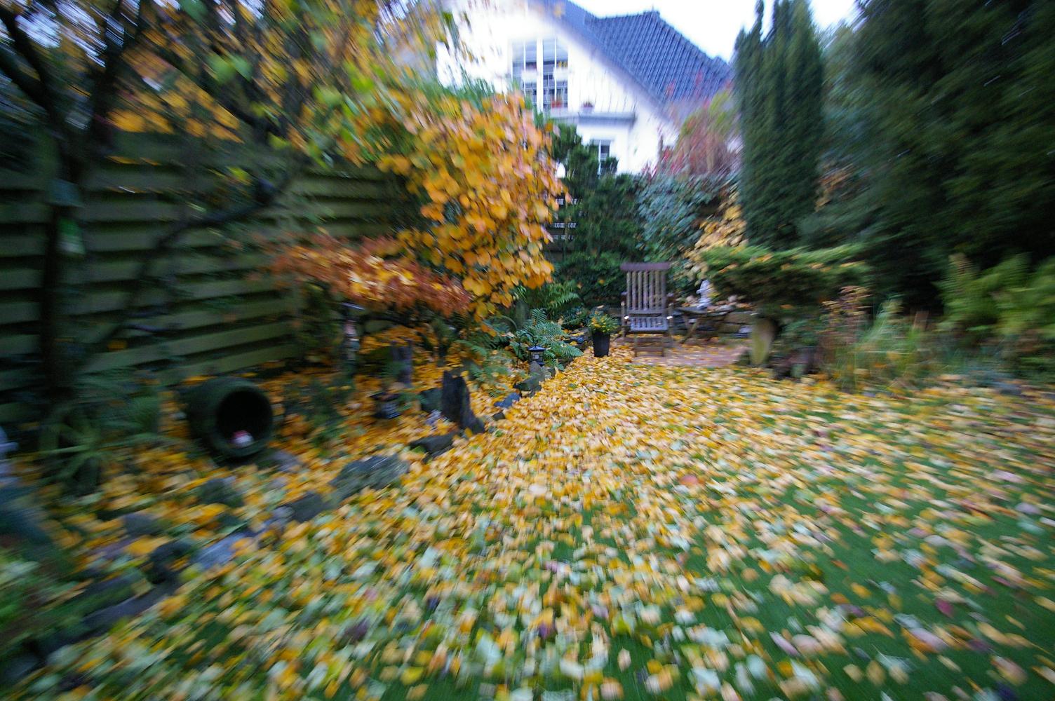 Herbst in meinen Garten