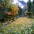 Herbst in meinen Garten