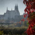 Herbst in Meissen