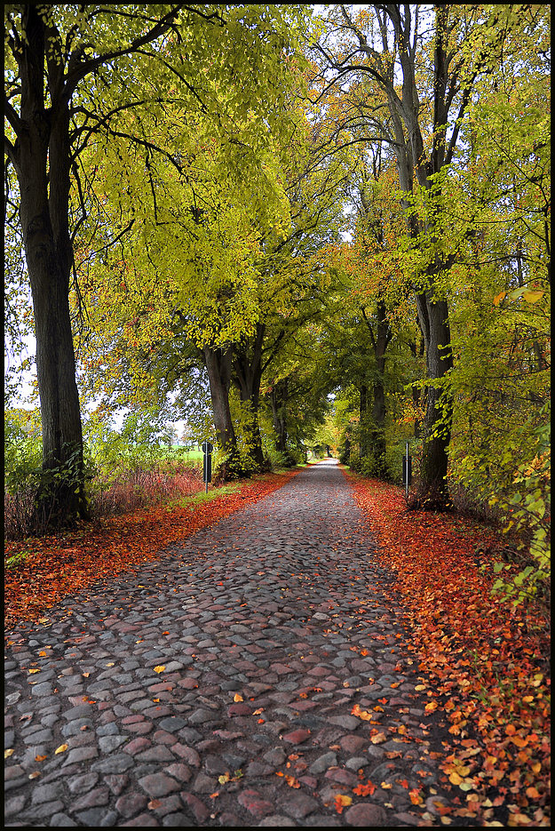 Herbst in Mekpom. In der Nähe der Ortschaft Teschendorf.