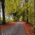 Herbst in Mekpom. In der Nähe der Ortschaft Teschendorf.