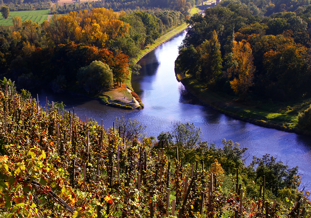 Herbst in Melnik