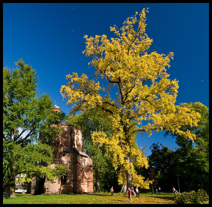 Herbst in Mettlach