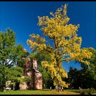 Herbst in Mettlach