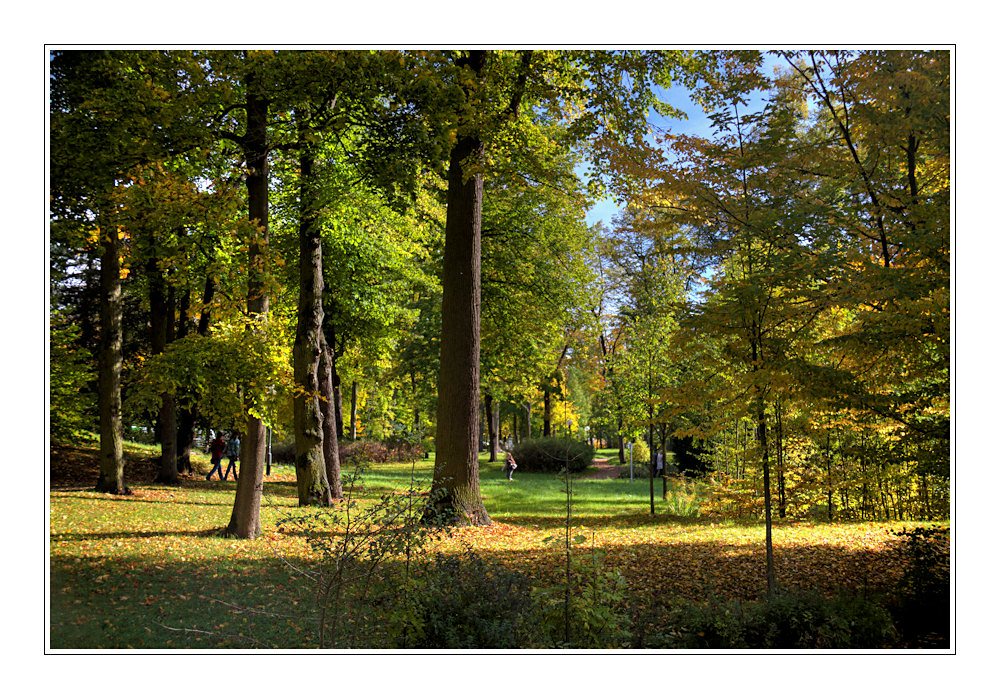 herbst in MGN