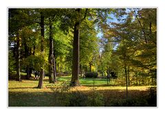 herbst in MGN