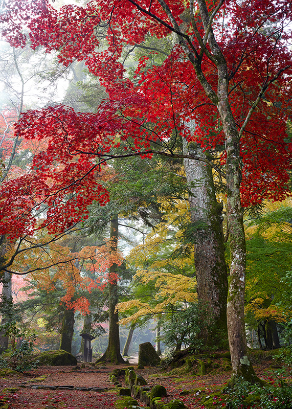 Herbst in Miyajima (Japan)